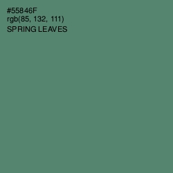 #55846F - Spring Leaves Color Image
